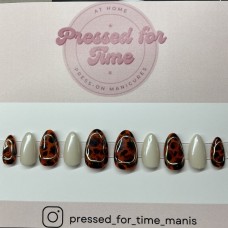 Autumn Tortoise Shell Autumn Tortoise Shell